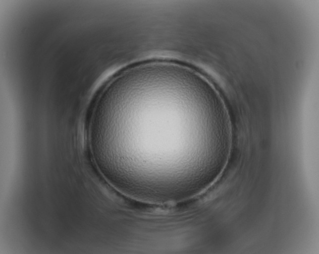 X0000113761271200909301102