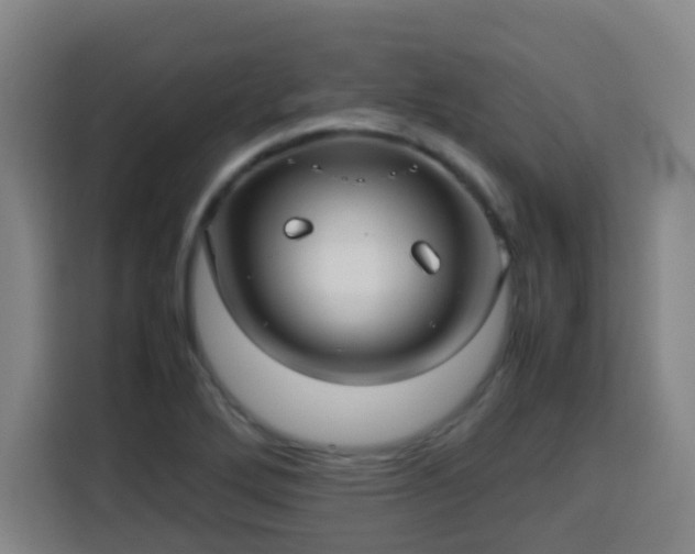 X0000113761272200909301102