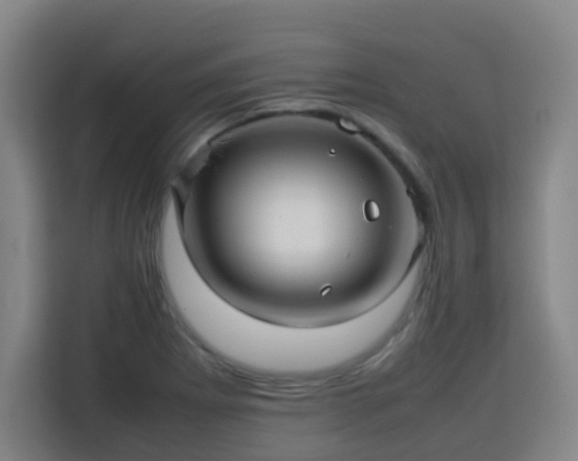 X0000113761273200909301102