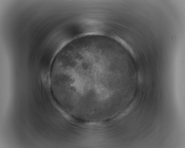X0000113761274200909301102