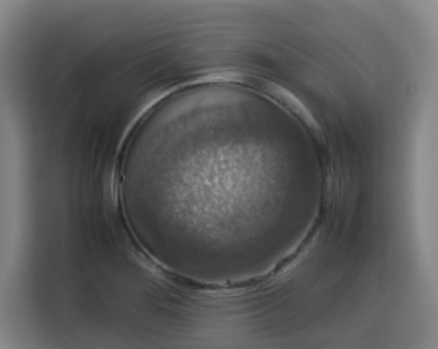 X0000113761276200909301102