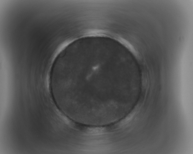 X0000113761277200909301102