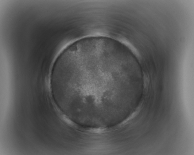 X0000113761278200909301102
