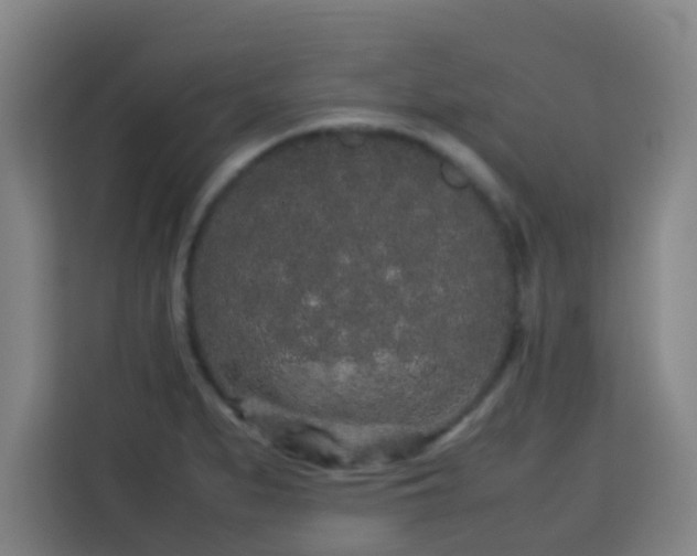 X0000113761279200909301102