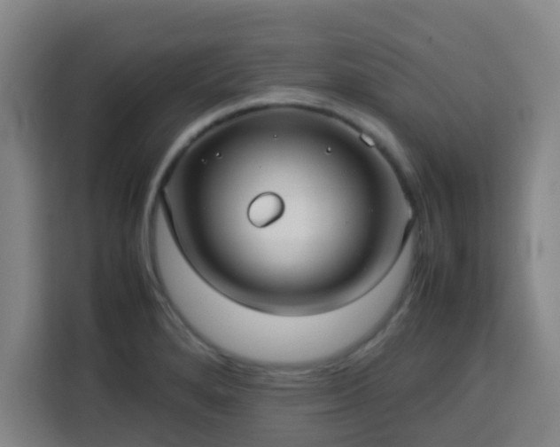 X0000113761280200909301102
