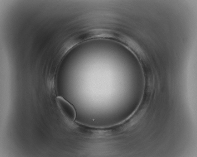 X0000113761281200909301102