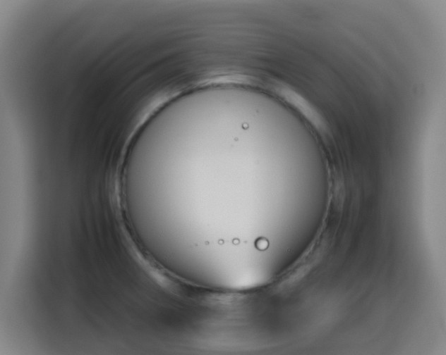 X0000113761282200909301102