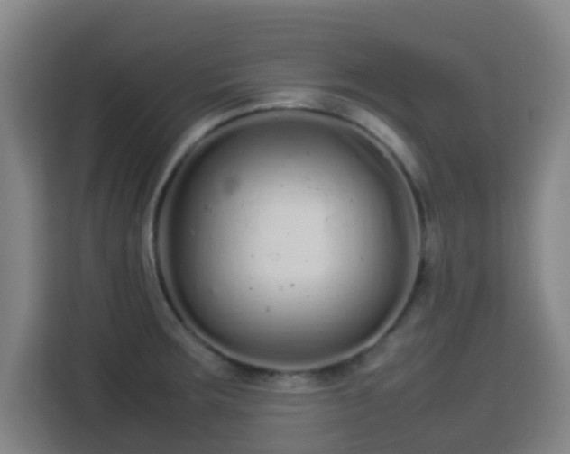 X0000113761283200909301102