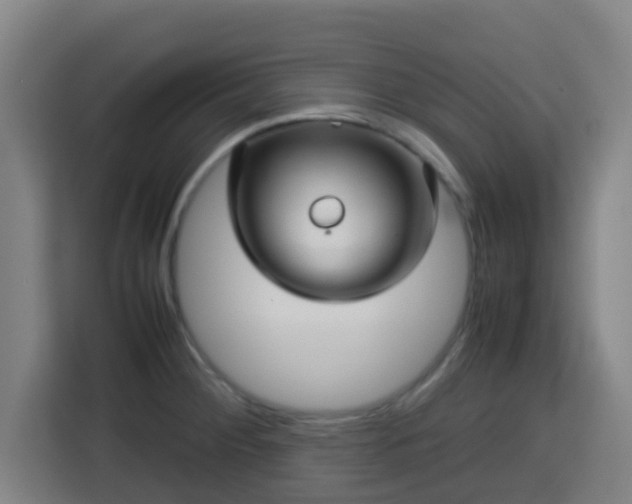 X0000113761284200909301102