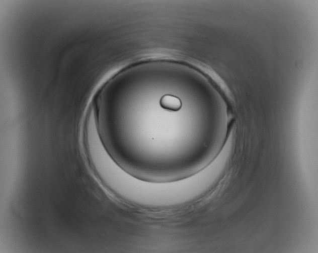 X0000113761285200909301102