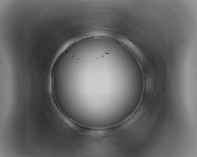 X0000113761286200909301102