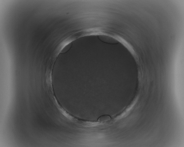 X0000113761289200909301102