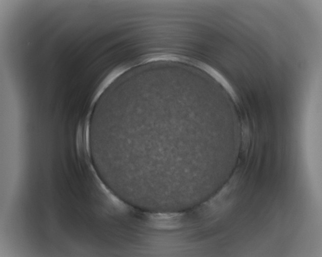 X0000113761290200909301102