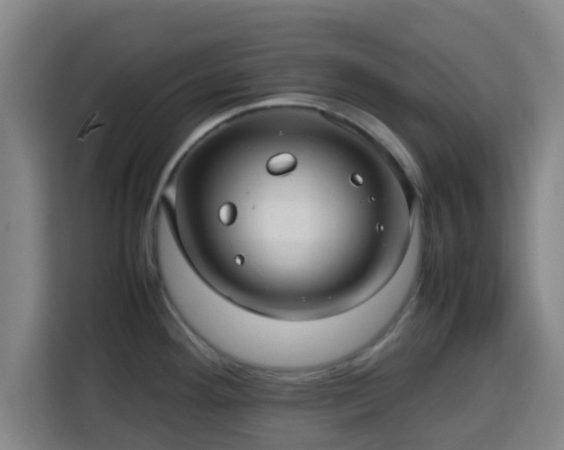 X0000113761292200909301102