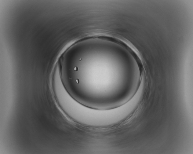 X0000113761293200909301102