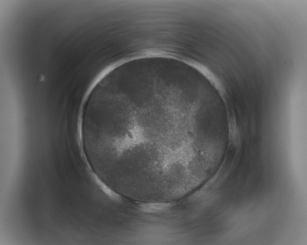 X0000113761294200909301102