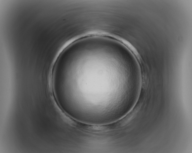 X0000113761295200909301102
