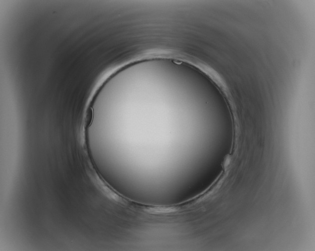 X0000113761296200909301102