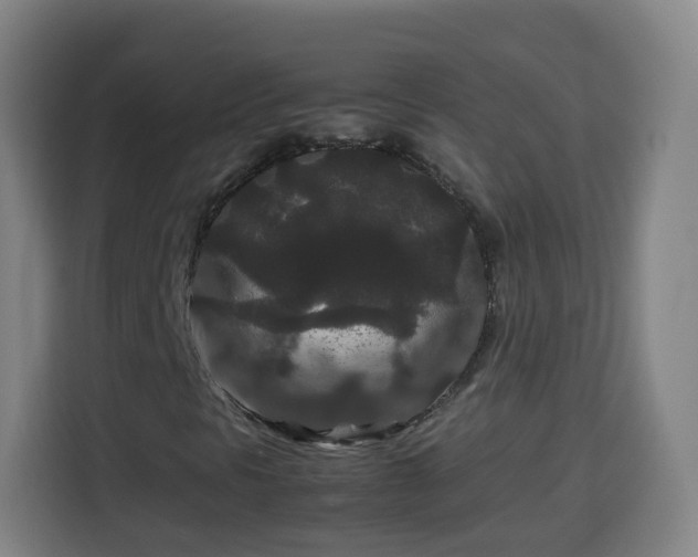 X0000113761297200909301101