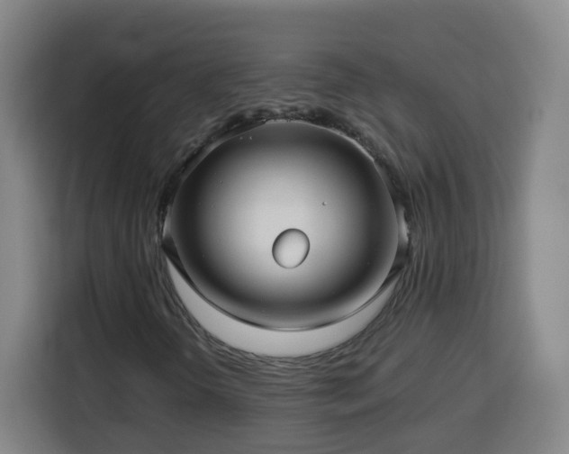 X0000113761298200909301101