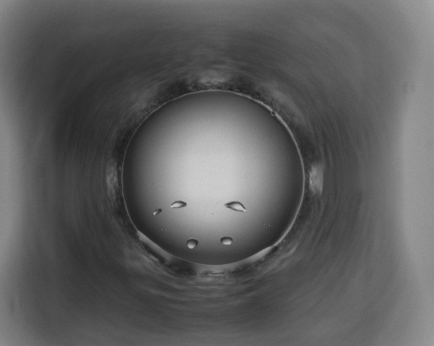 X0000113761299200909301101