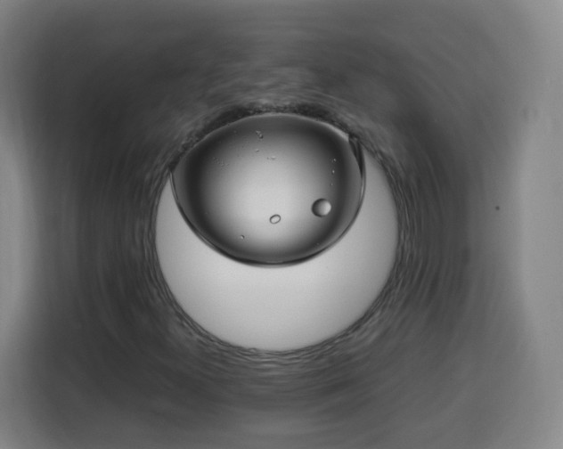 X0000113761300200909301101