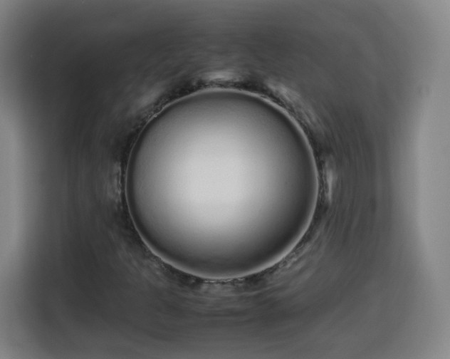 X0000113761301200909301101