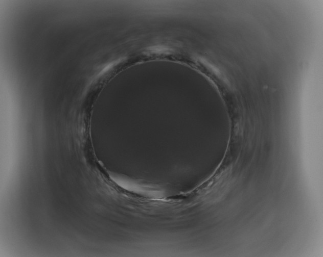 X0000113761303200909301101