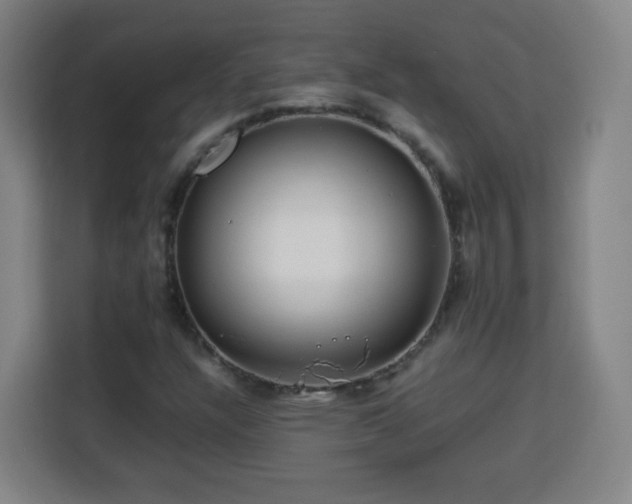 X0000113761304200909301101