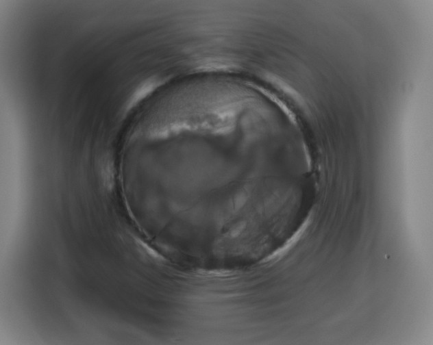 X0000113761306200909301101