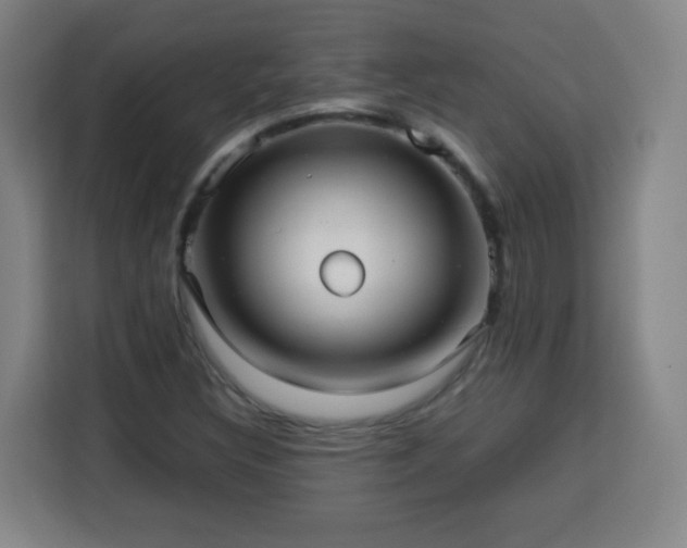 X0000113761308200909301101