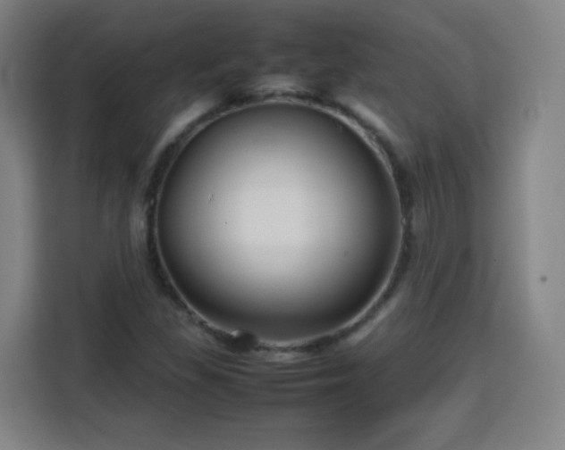 X0000113761309200909301101