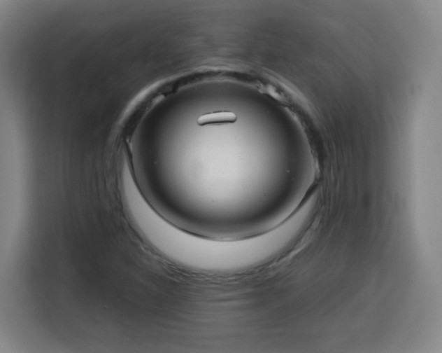 X0000113761310200909301101