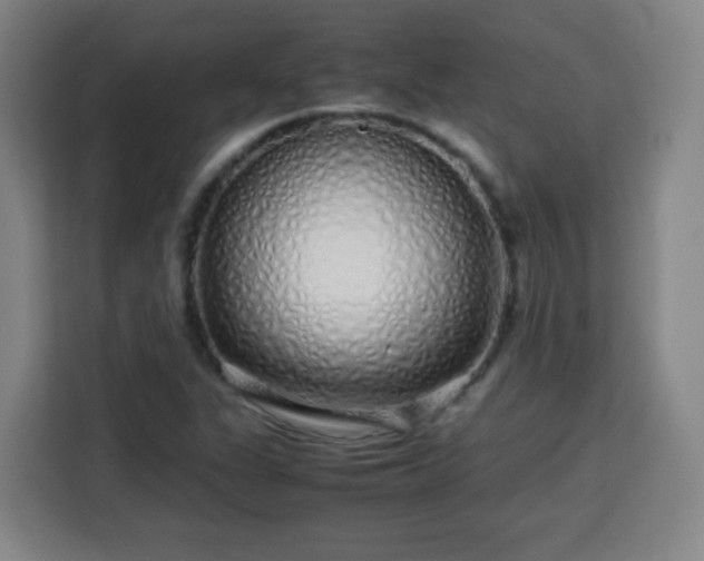 X0000113761311200909301101
