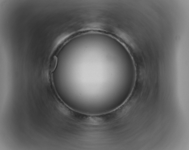 X0000113761312200909301101