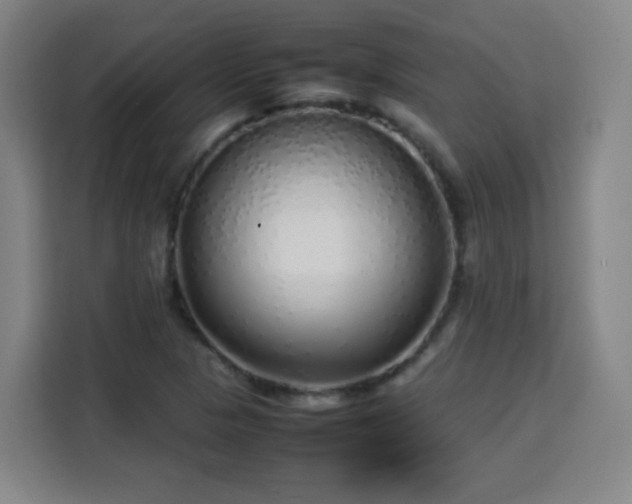 X0000113761313200909301101