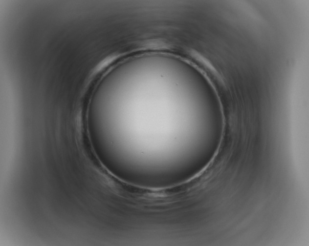 X0000113761315200909301101