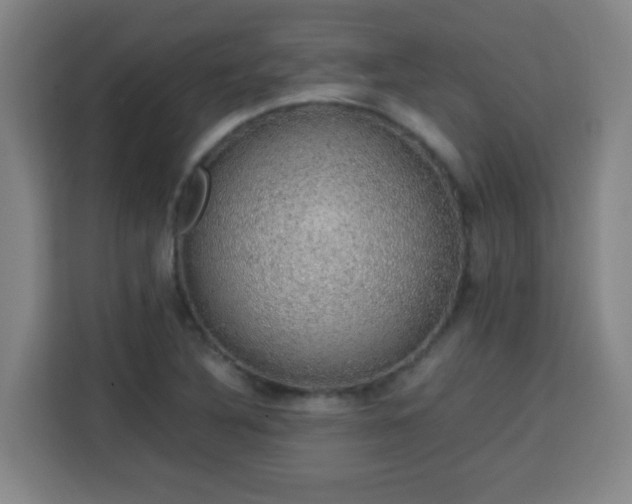 X0000113761316200909301101