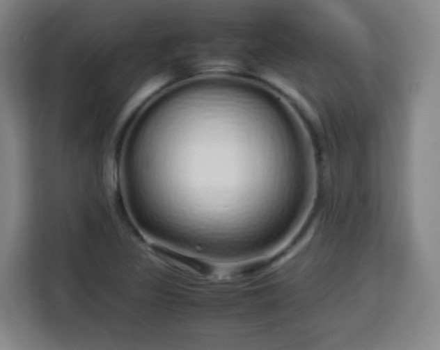 X0000113761317200909301101