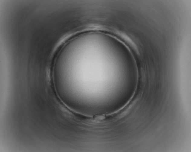X0000113761318200909301101