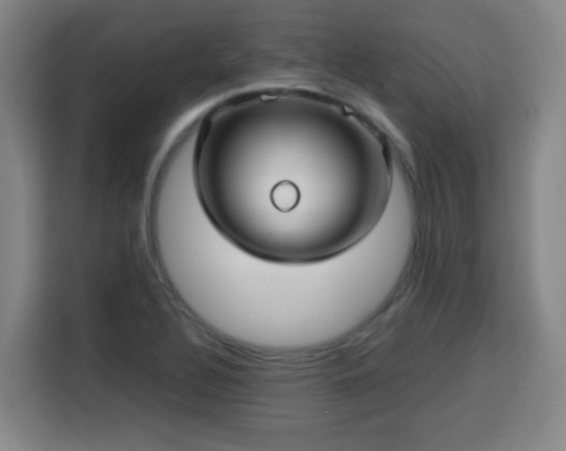 X0000113761320200909301101