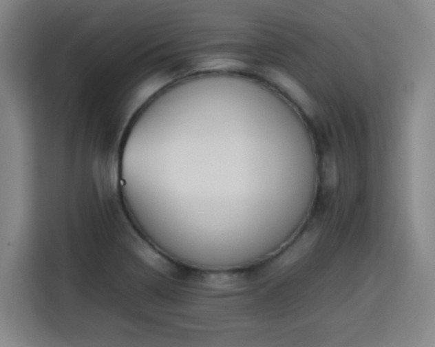 X0000113761322200909301101
