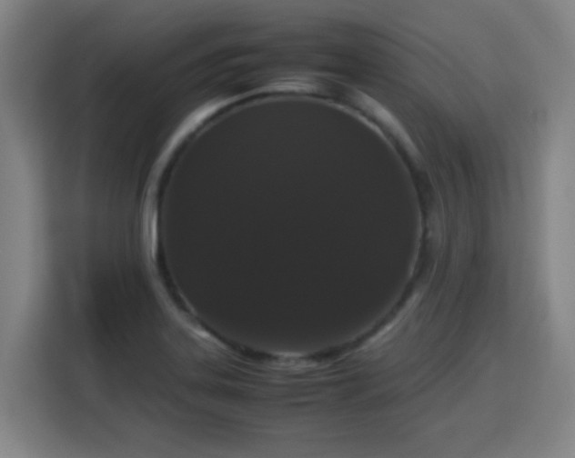 X0000113761323200909301101
