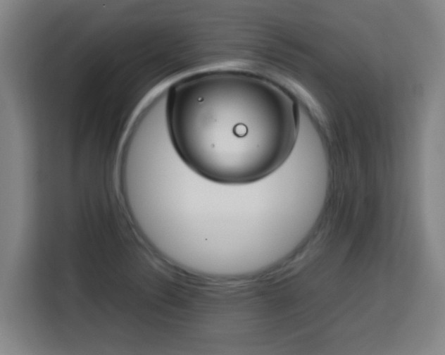 X0000113761324200909301101