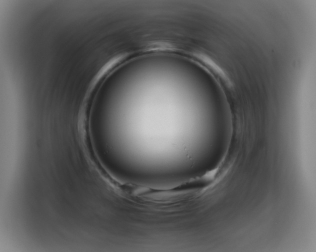 X0000113761325200909301101
