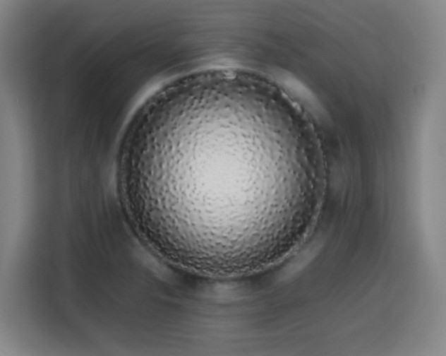 X0000113761326200909301101