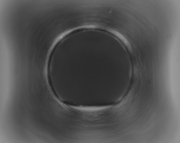 X0000113761327200909301101