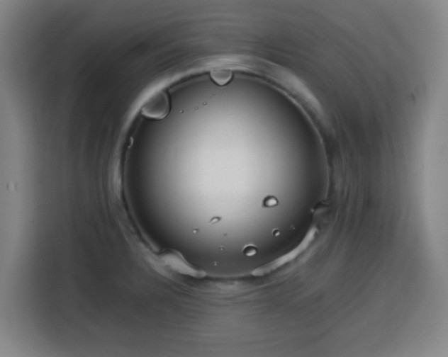 X0000113761328200909301101