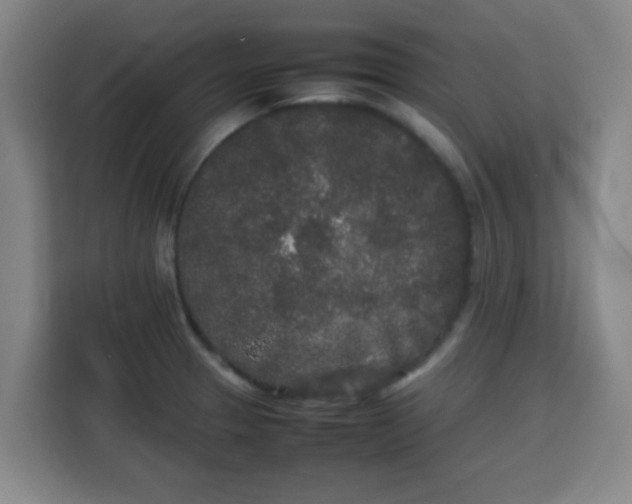 X0000113761329200909301101