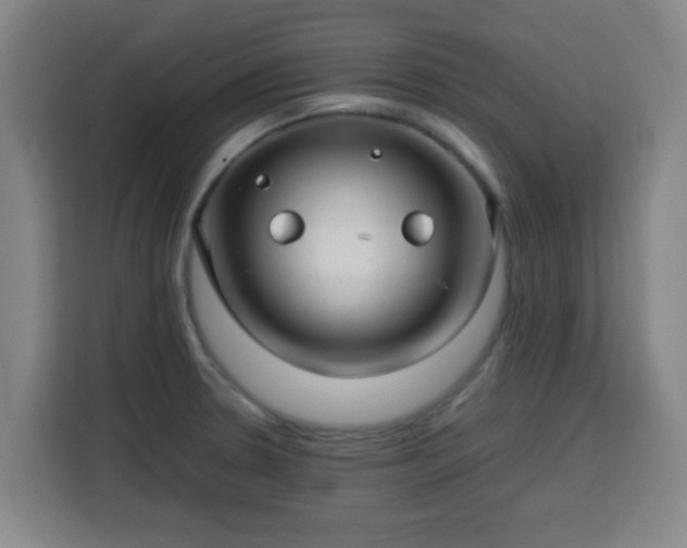 X0000113761330200909301102